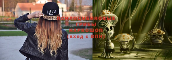 твердый Аркадак