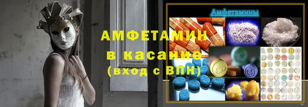 твердый Аркадак