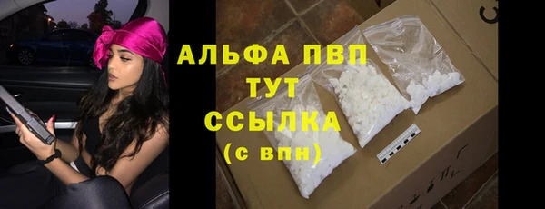 хмурый Арсеньев