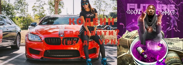 хмурый Арсеньев