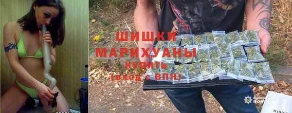 хмурый Арсеньев