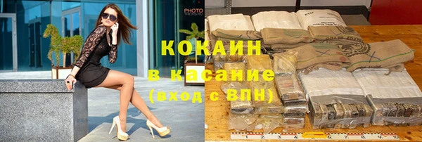 хмурый Арсеньев