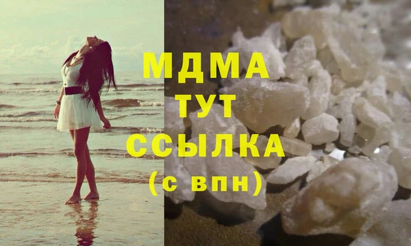хмурый Арсеньев