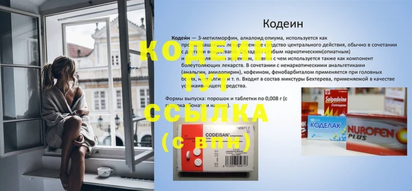 хмурый Арсеньев