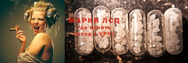 хмурый Арсеньев
