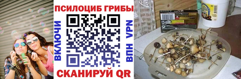 купить закладку  Биробиджан  Псилоцибиновые грибы мухоморы 